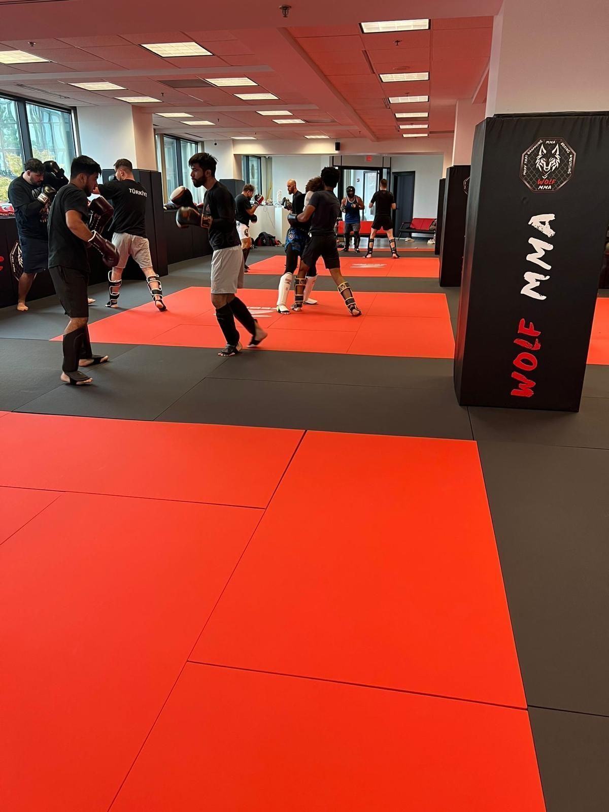 wolfmma